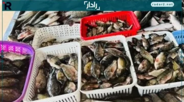 أسعار الأسماك في كفر الشيخ الأحد 12 أكتوبر 2025 تتصدر السوق